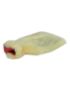 Image for SKU BGD10881010