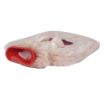 Image for SKU BGD10881007