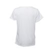 Image for SKU BGD342131902014