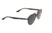 Image for SKU XFM01.03.212003