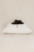 Image for SKU XKZ8683880354399