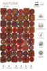 Image for SKU XKZ8682033367798